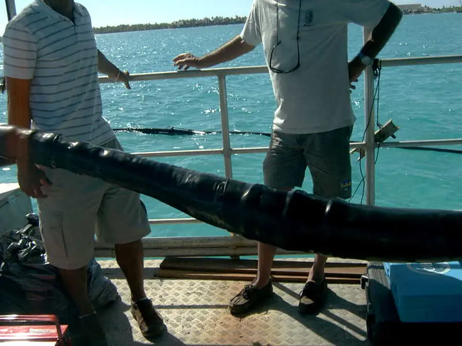 Jonction sous-marine